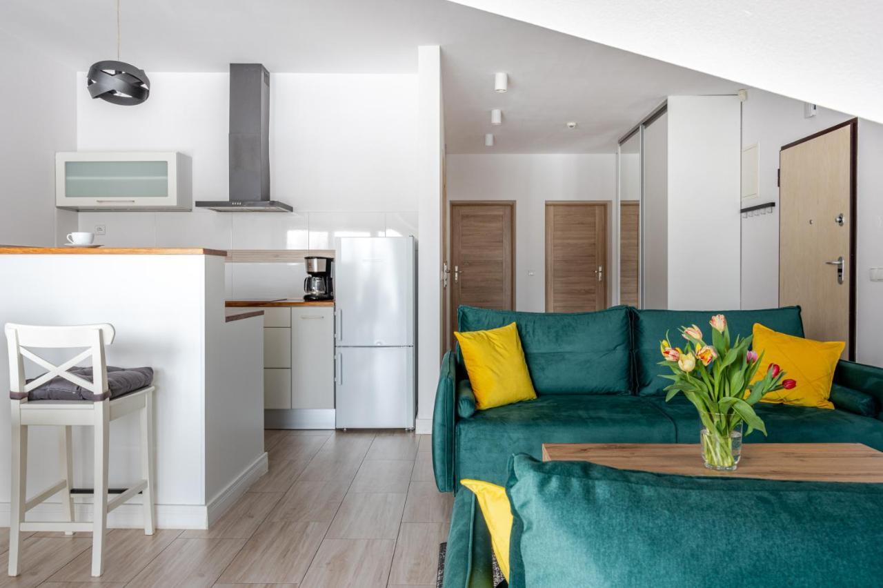 Lux Apartamenty Stara Polana ザコパネ エクステリア 写真